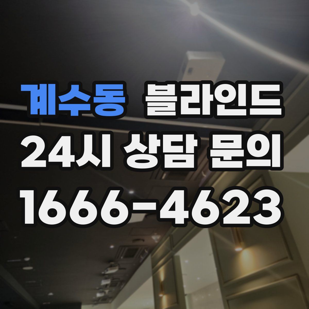 계수동 블라인드