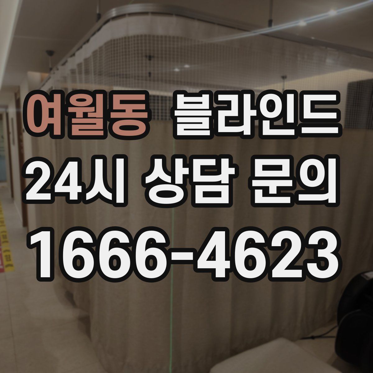 여월동 블라인드