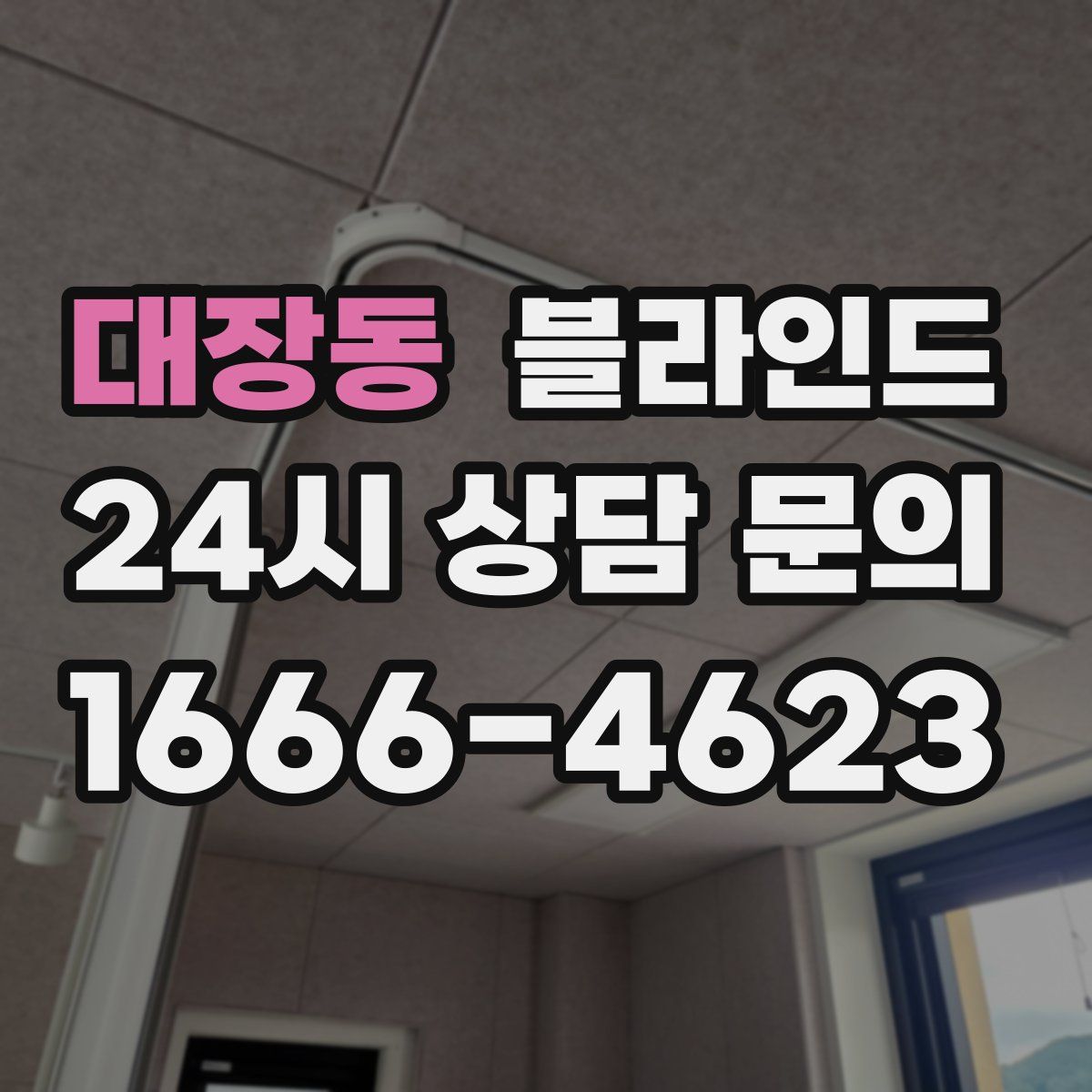 대장동 블라인드