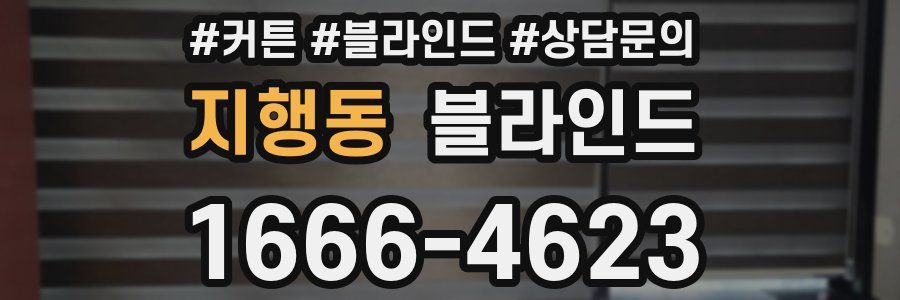 지행동 블라인드