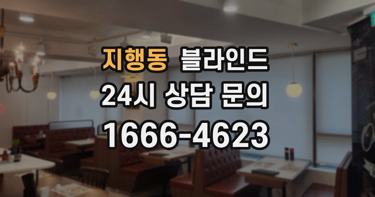 지행동 블라인드