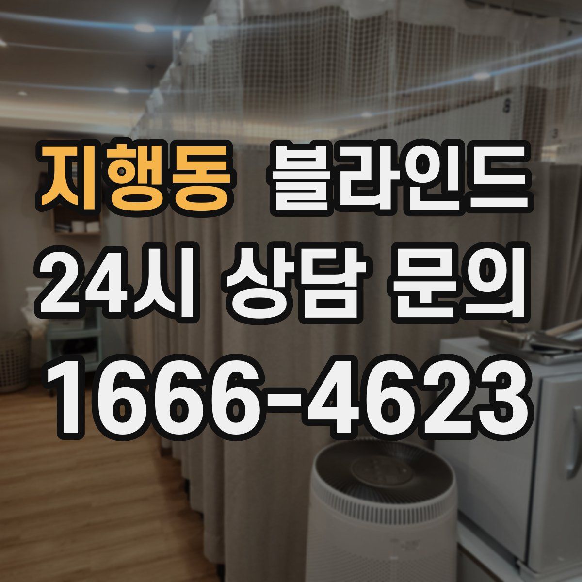 지행동 블라인드