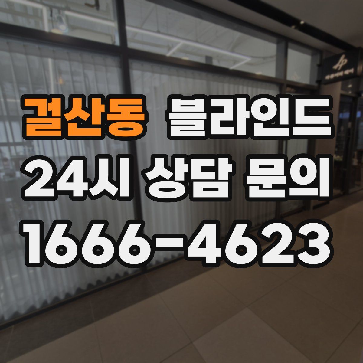 걸산동 블라인드