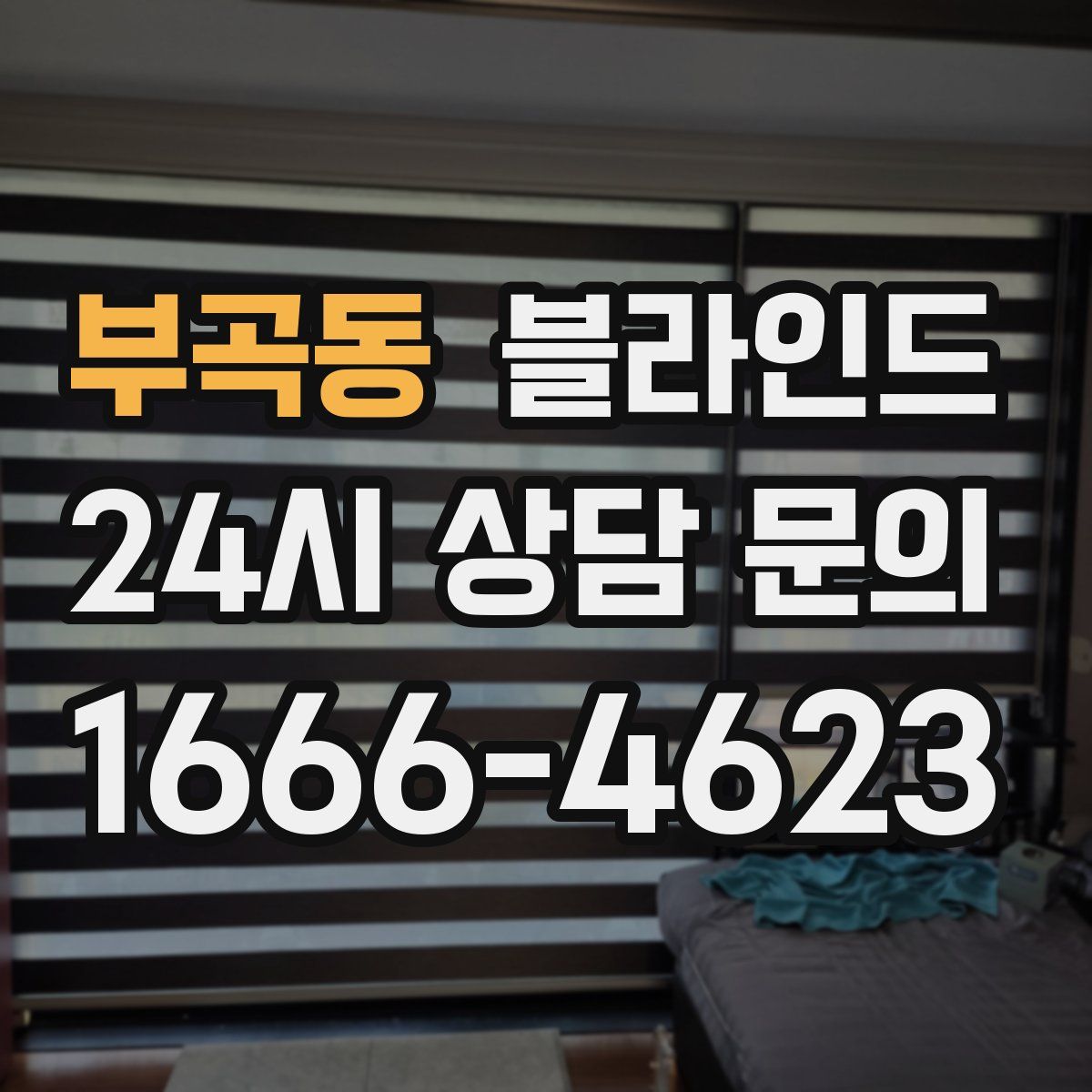 부곡동 블라인드