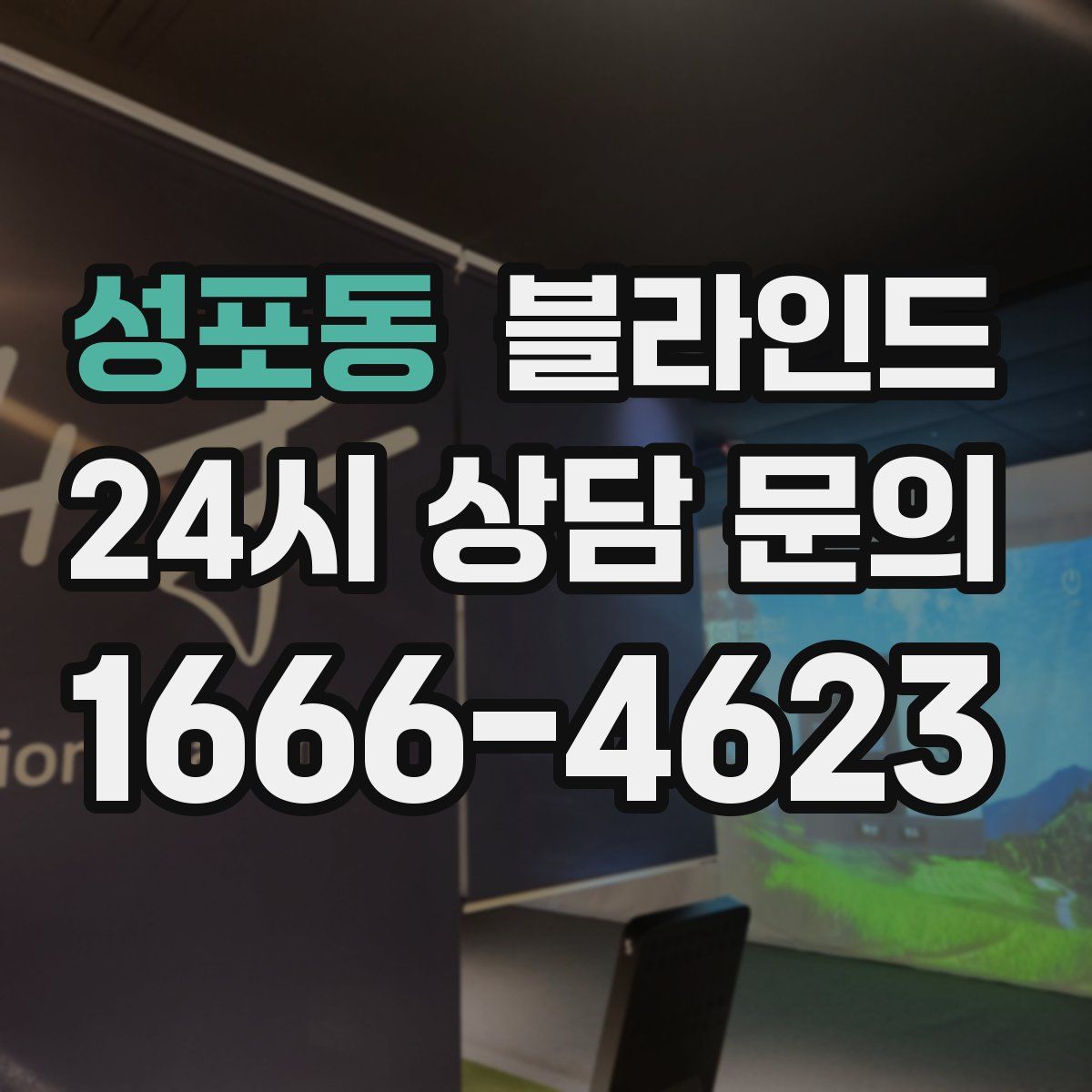 성포동 블라인드