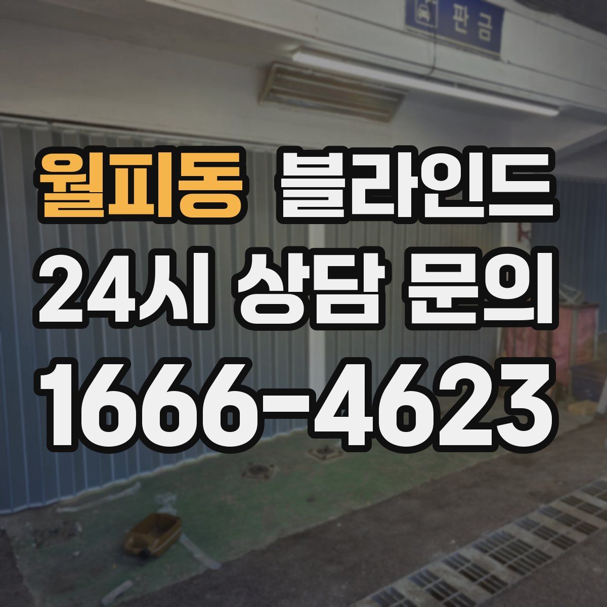 월피동 블라인드