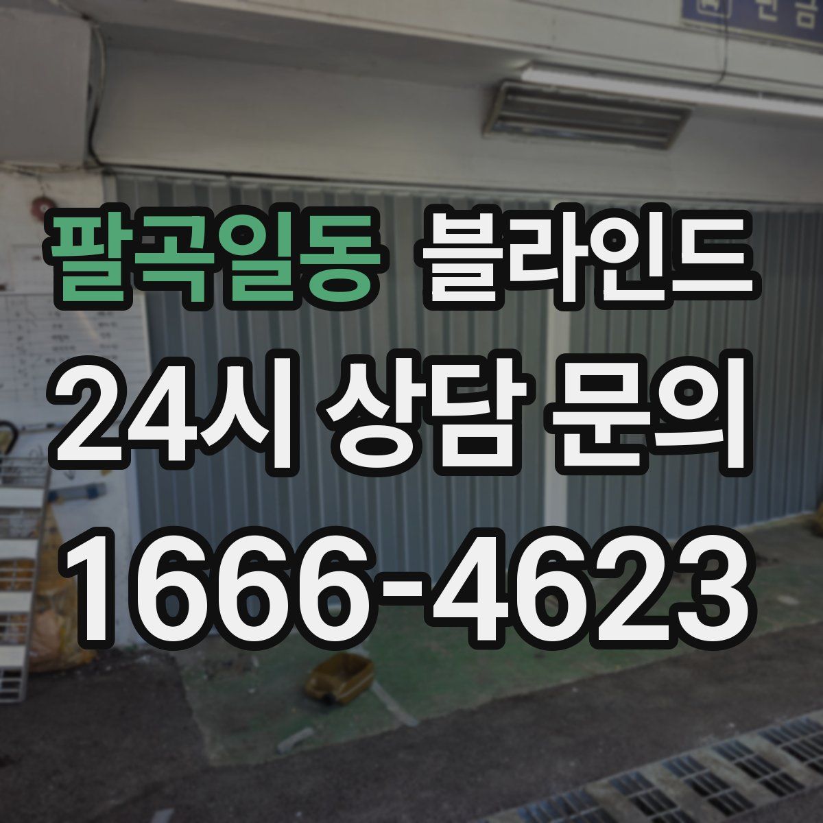 팔곡일동 블라인드