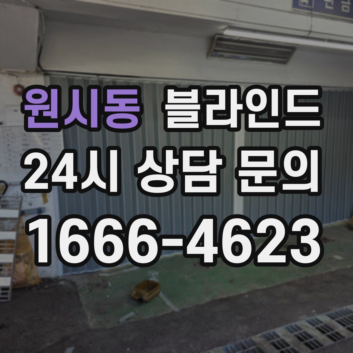 원시동 블라인드