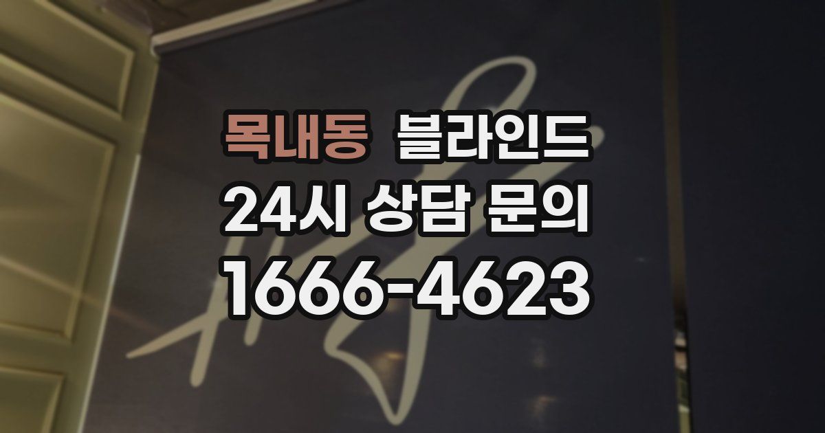 목내동 블라인드