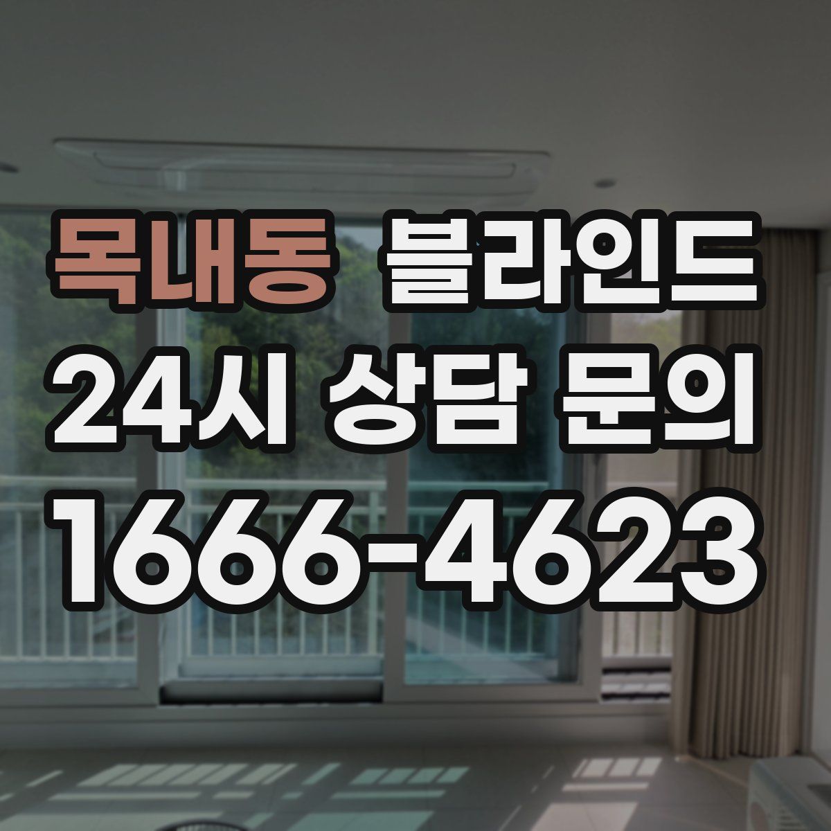 목내동 블라인드