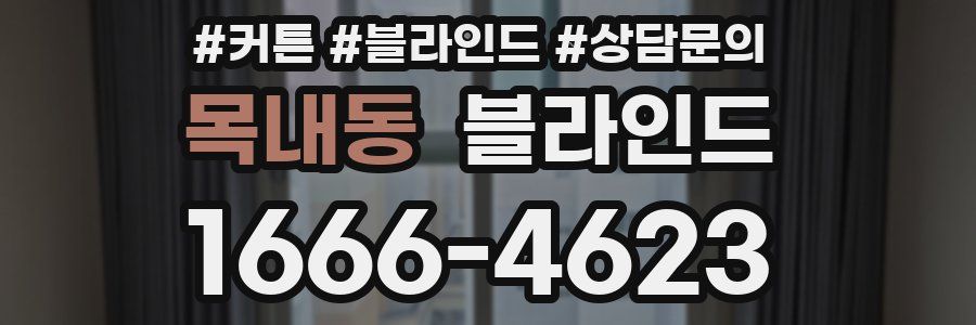 목내동 블라인드