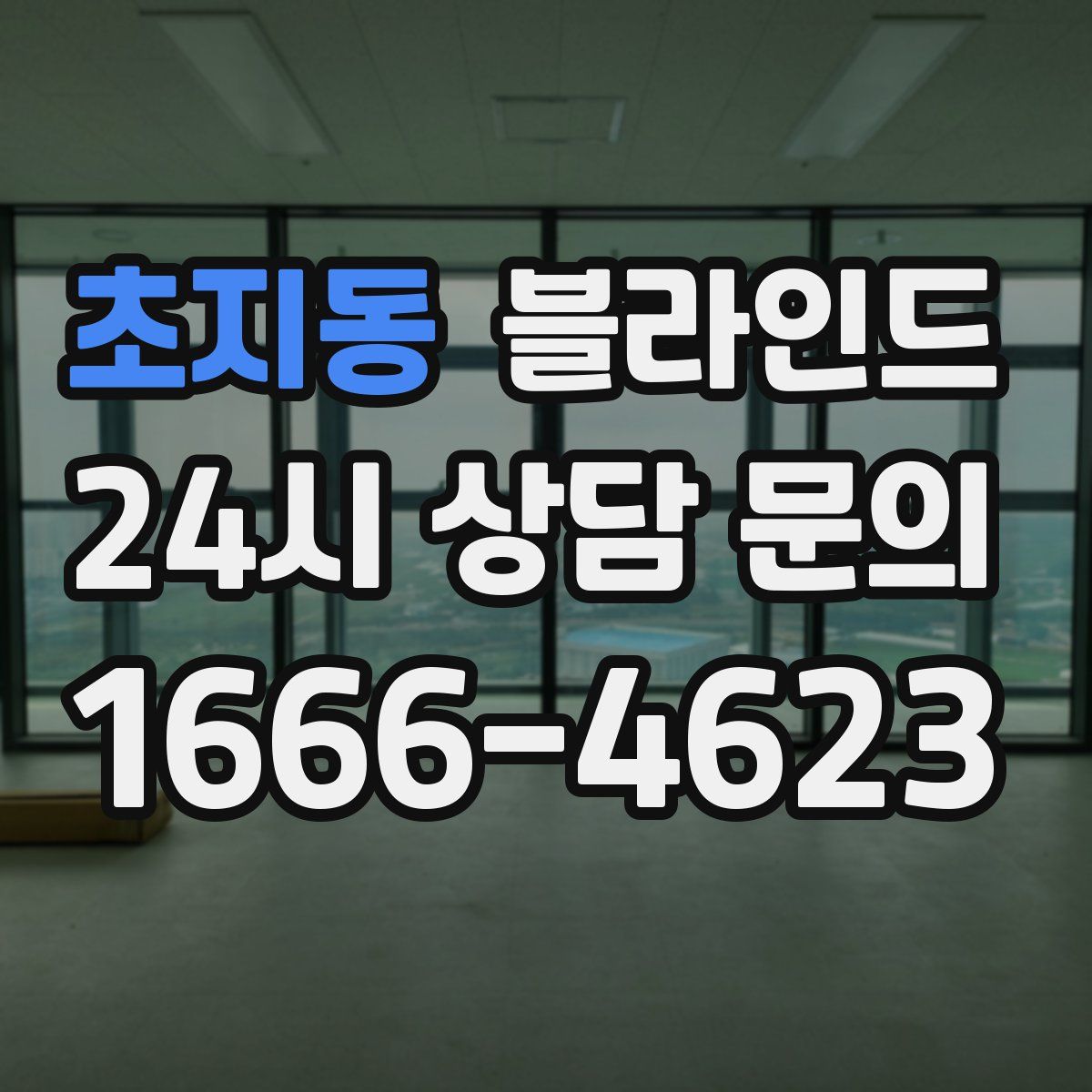 초지동 블라인드