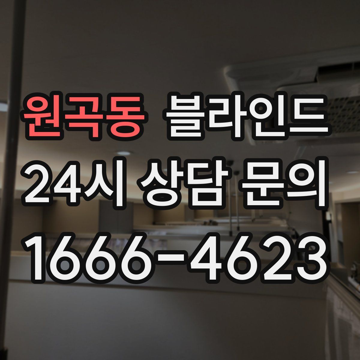 원곡동 블라인드