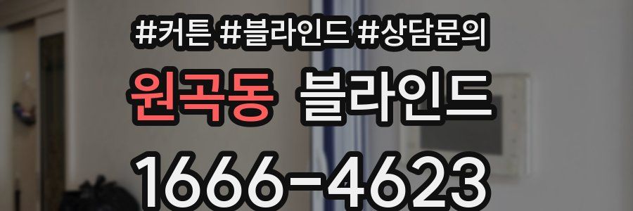 원곡동 블라인드