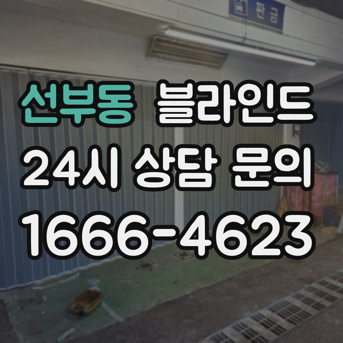 선부동 블라인드