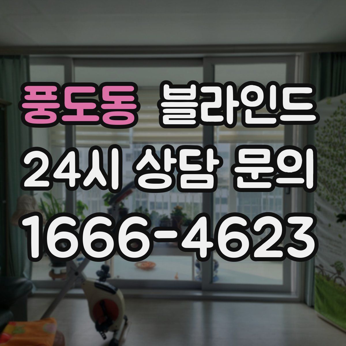 풍도동 블라인드
