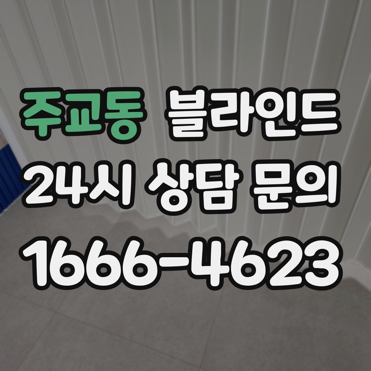 주교동 블라인드