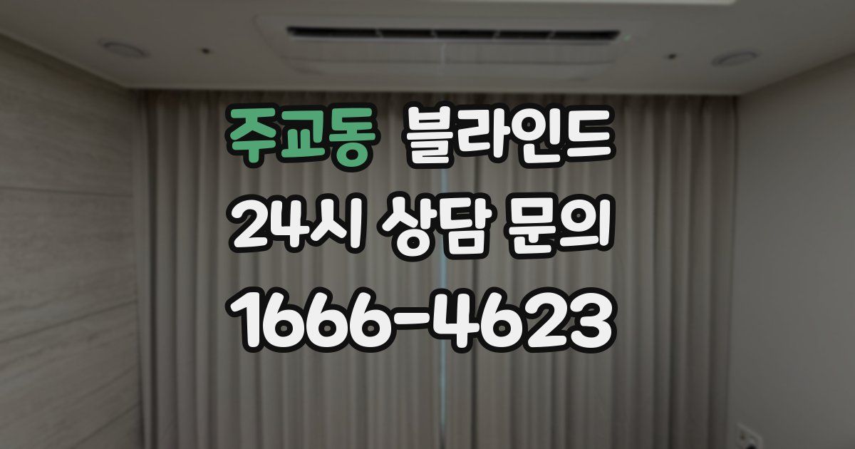 주교동 블라인드