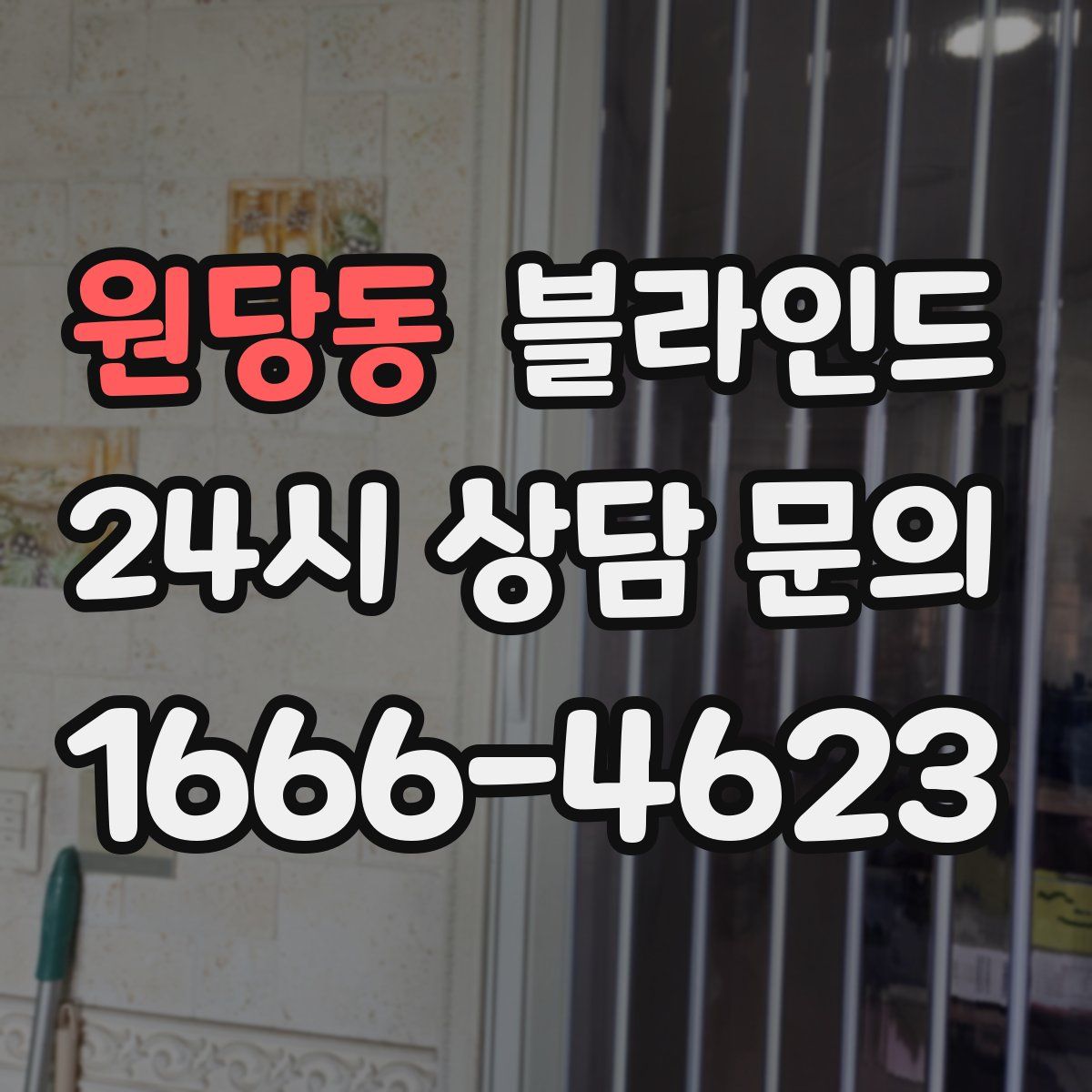 원당동 블라인드