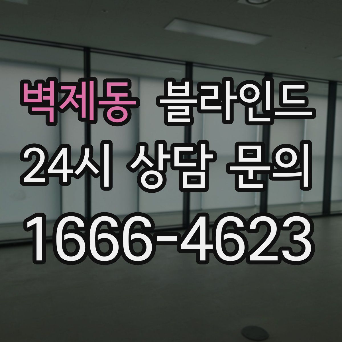 벽제동 블라인드