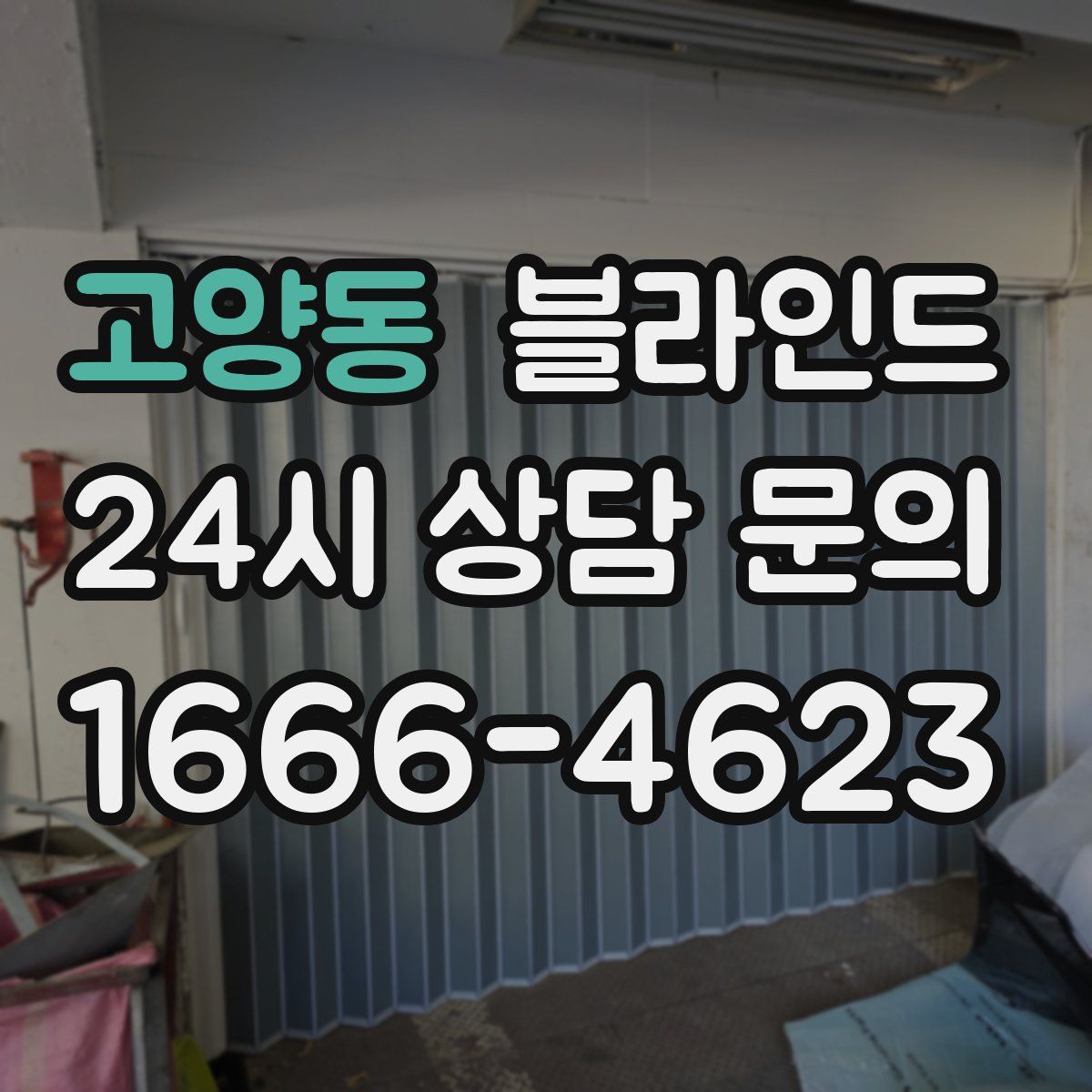 고양동 블라인드