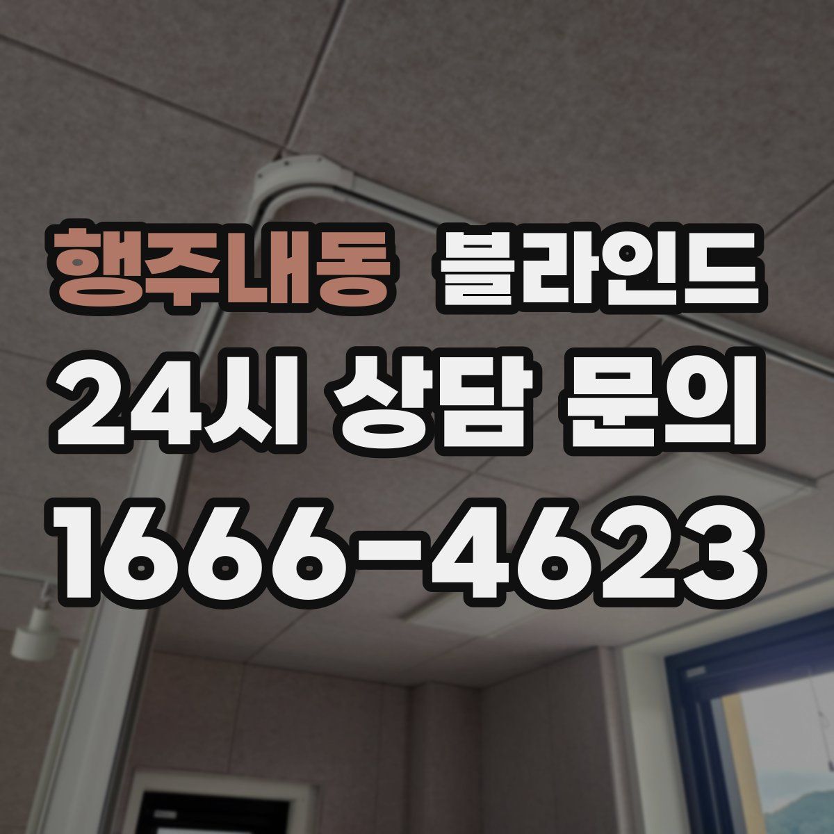행주내동 블라인드