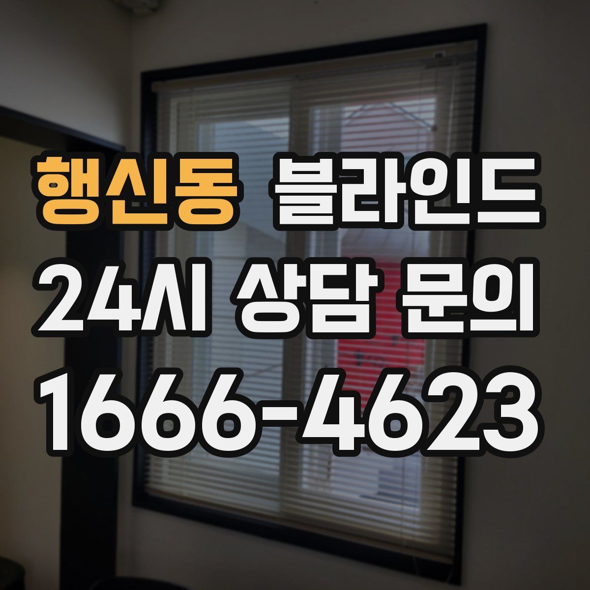 행신동 블라인드