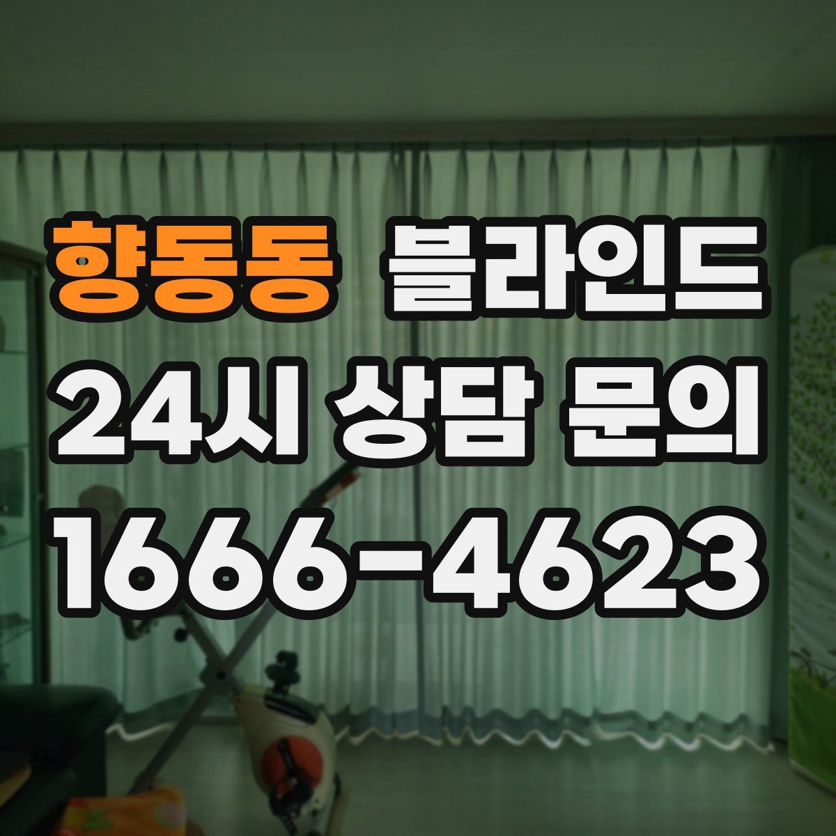 향동동 블라인드