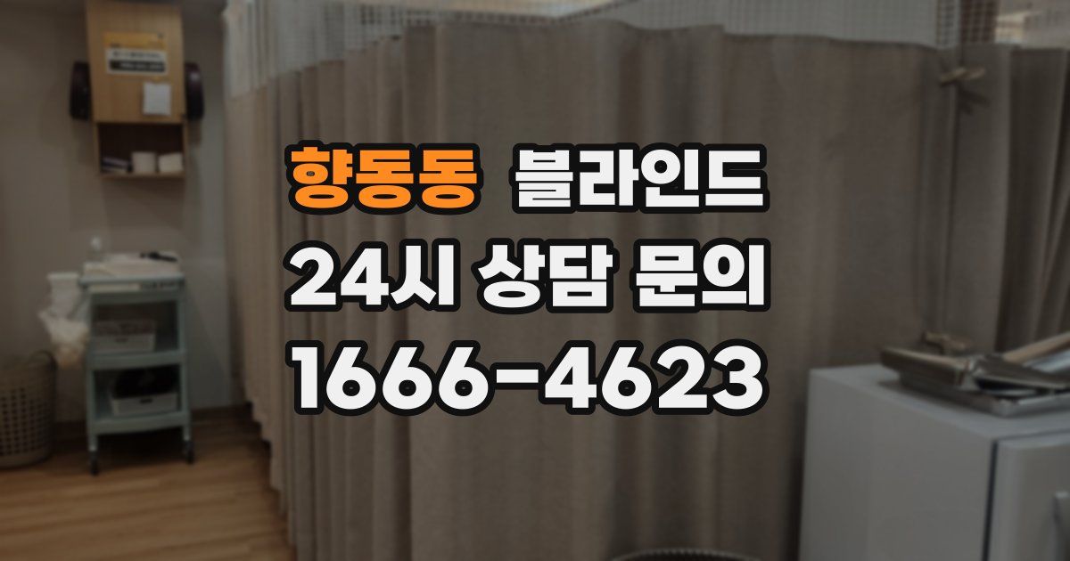 향동동 블라인드