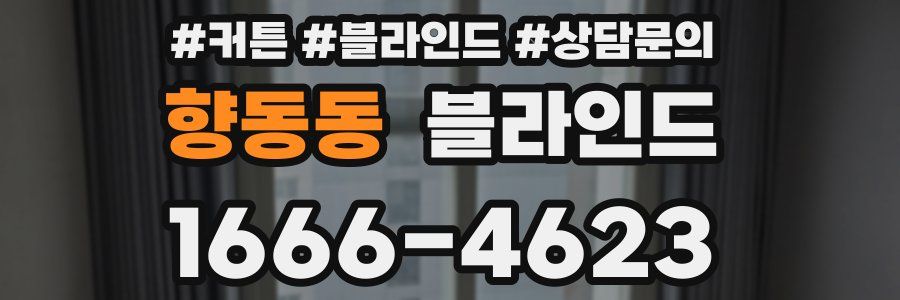향동동 블라인드