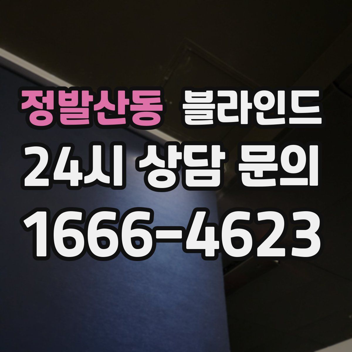 정발산동 블라인드