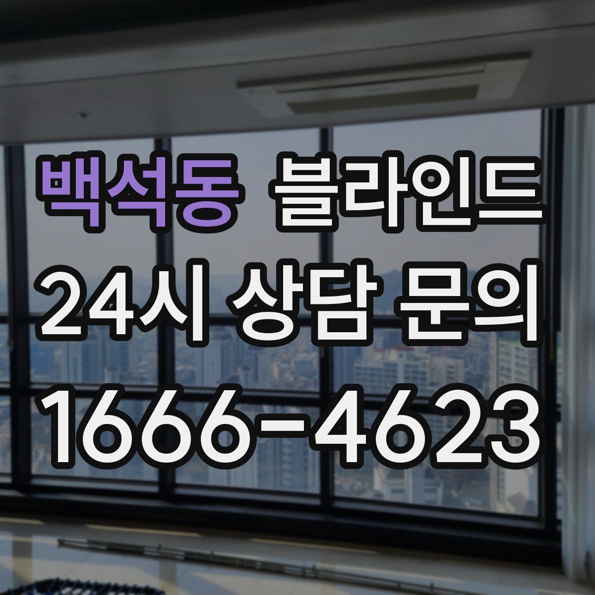 백석동 블라인드