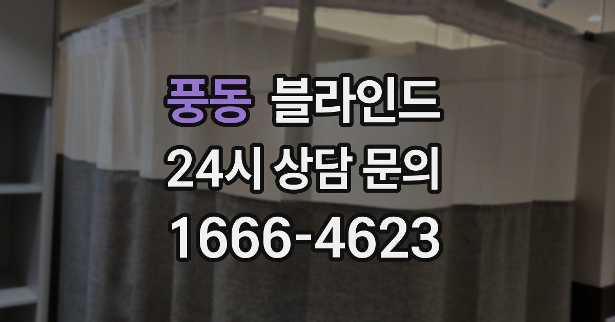 풍동 블라인드