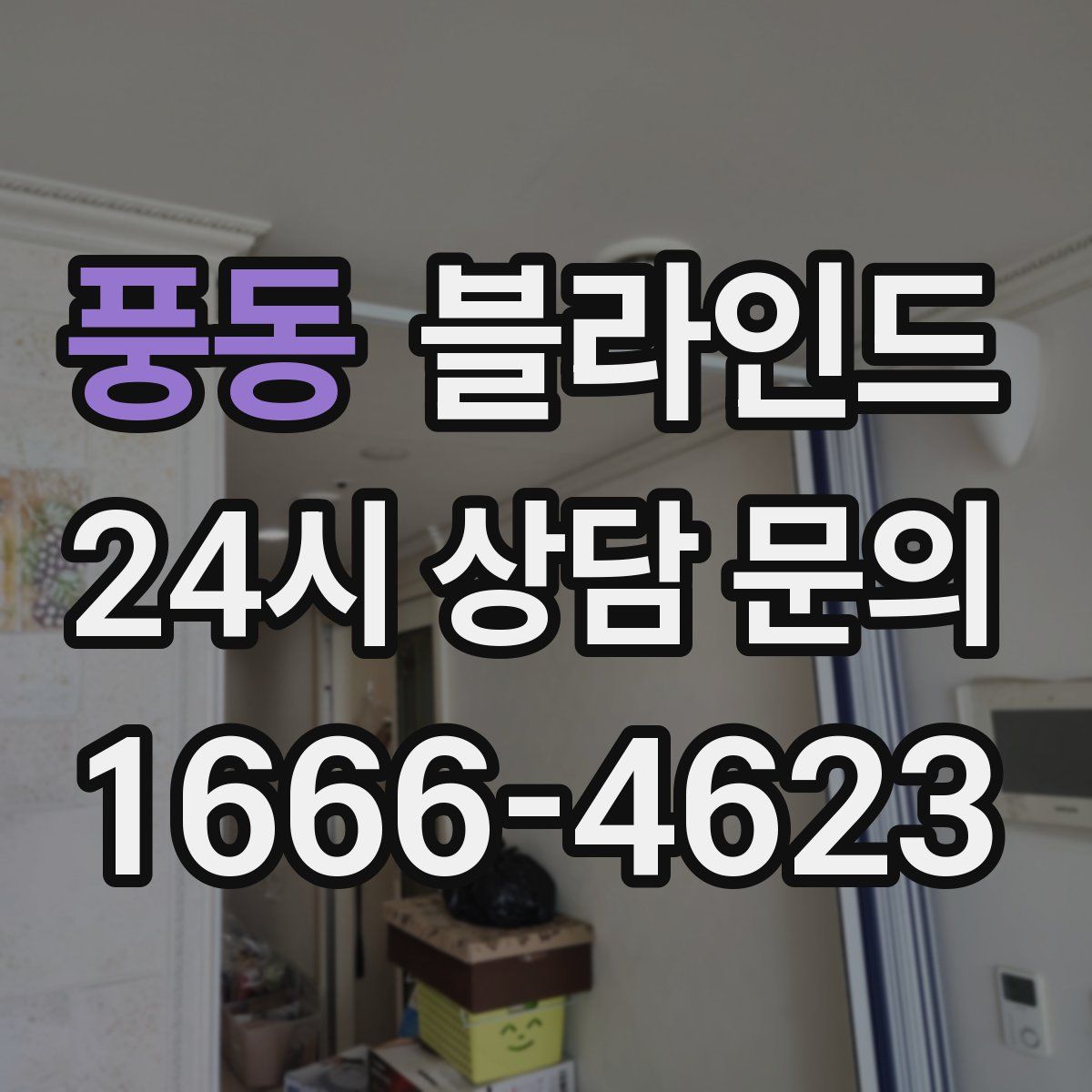 풍동 블라인드