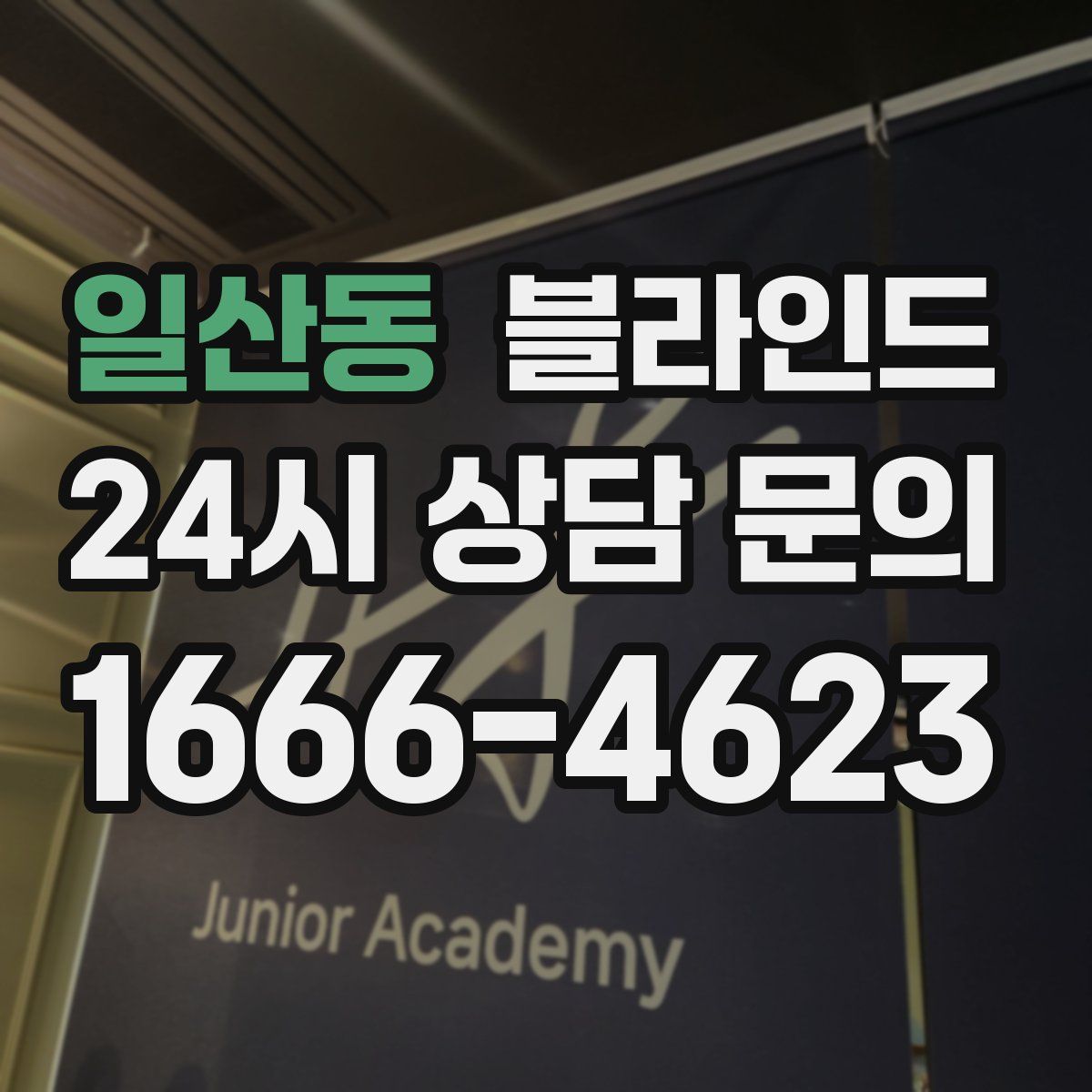 일산동 블라인드