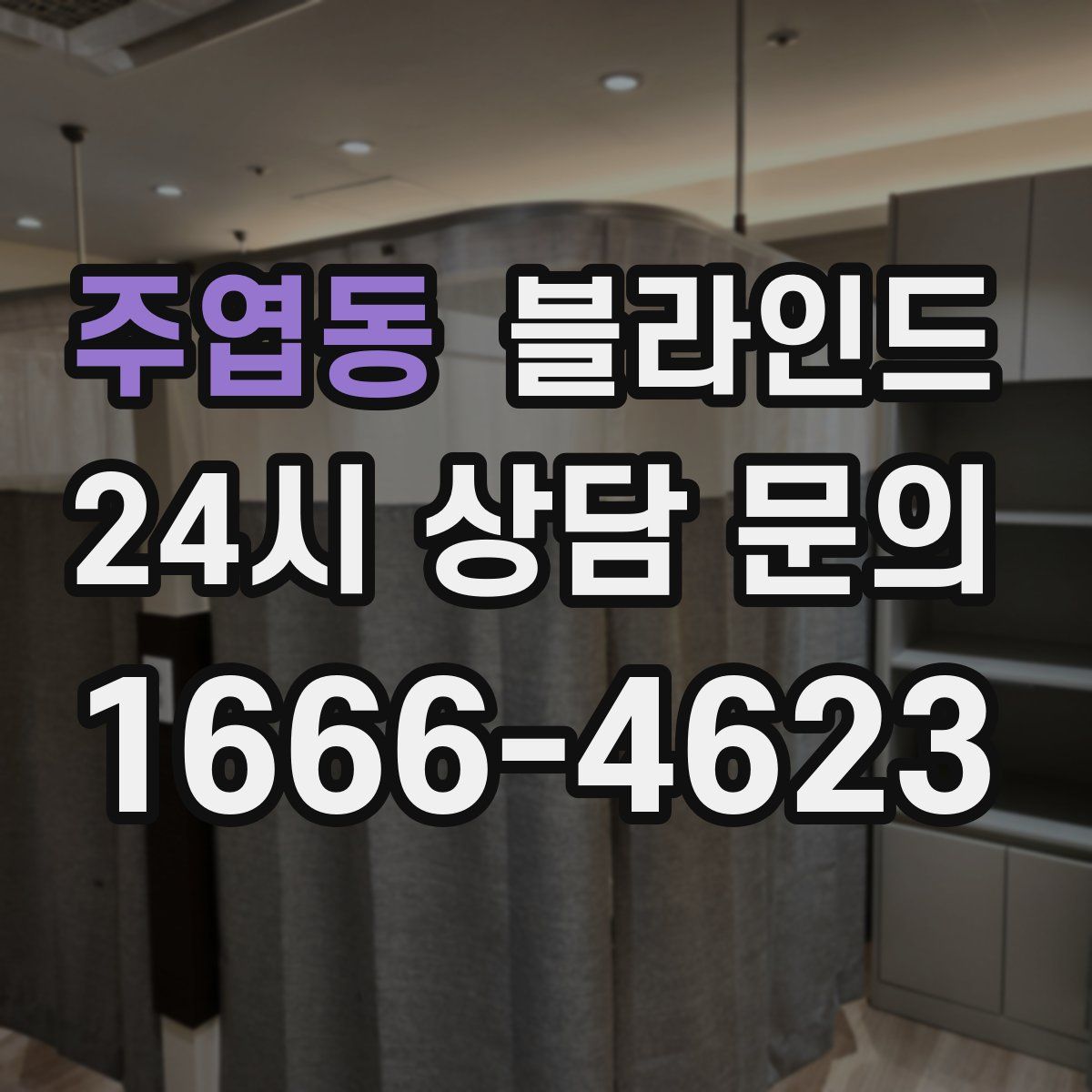 주엽동 블라인드