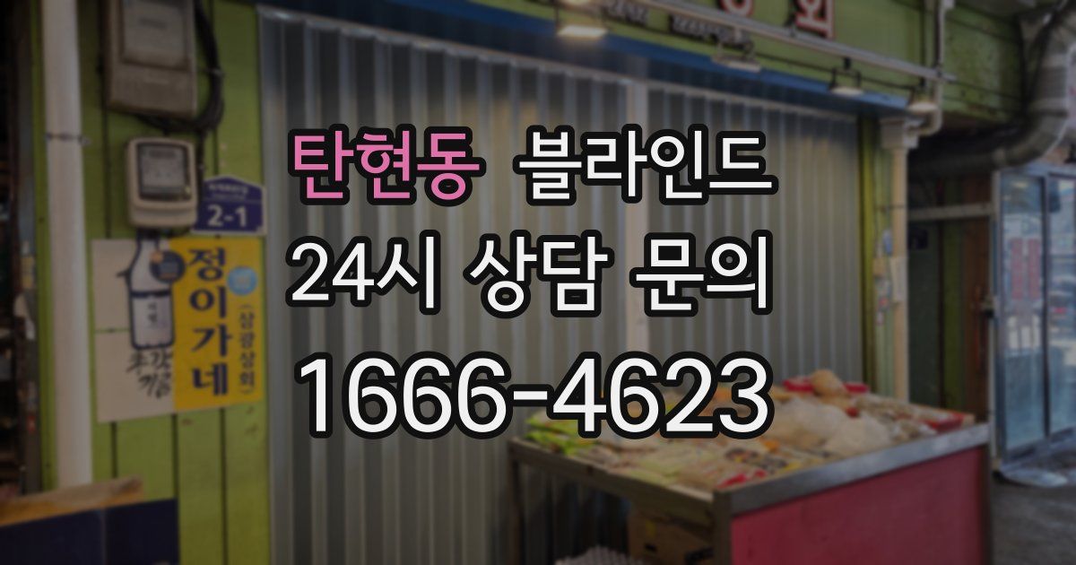 탄현동 블라인드