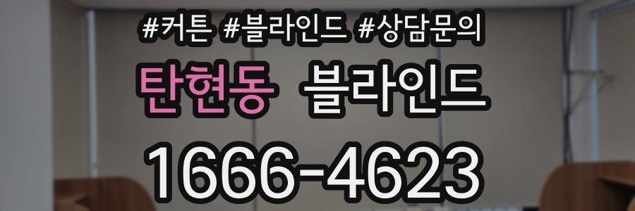 탄현동 블라인드