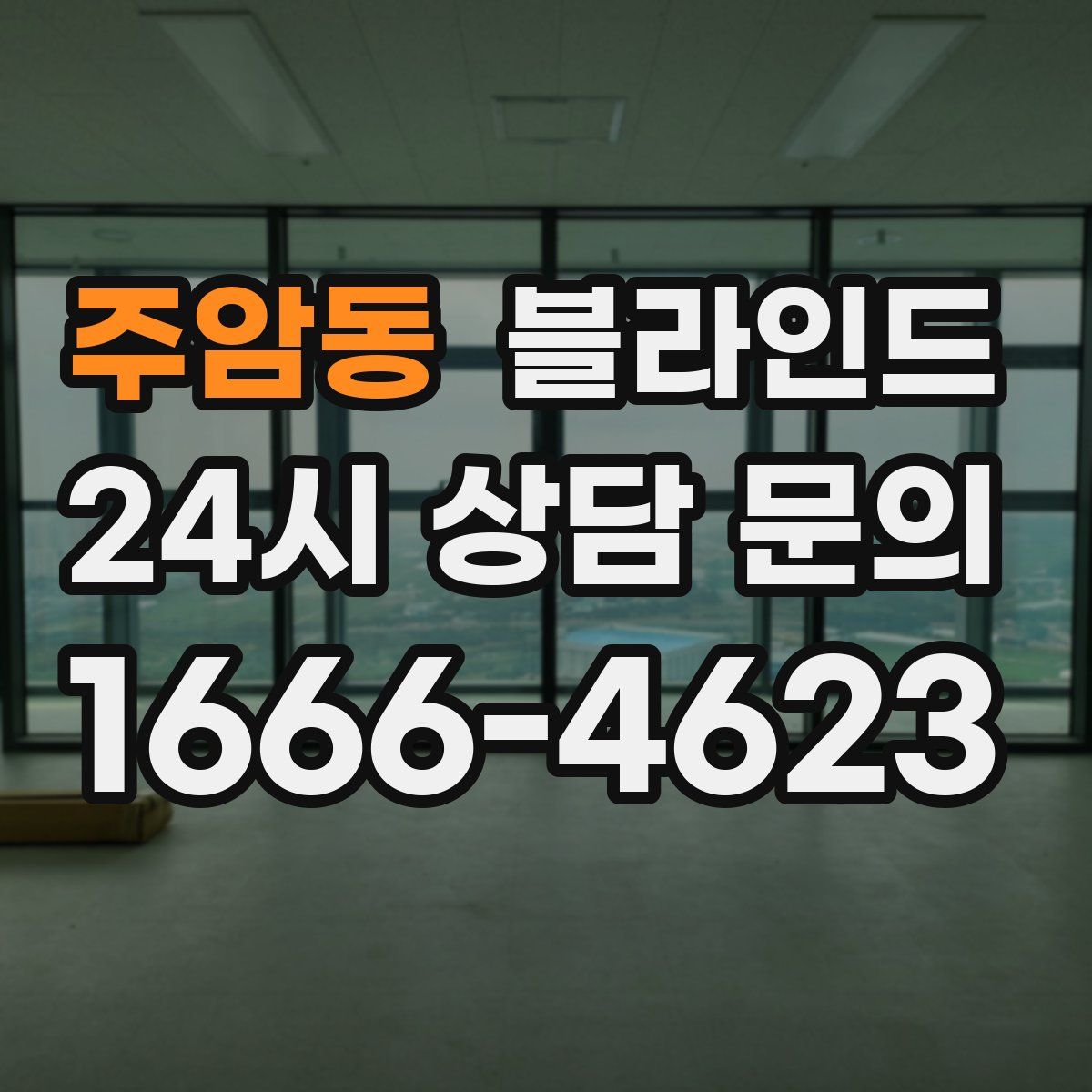 주암동 블라인드