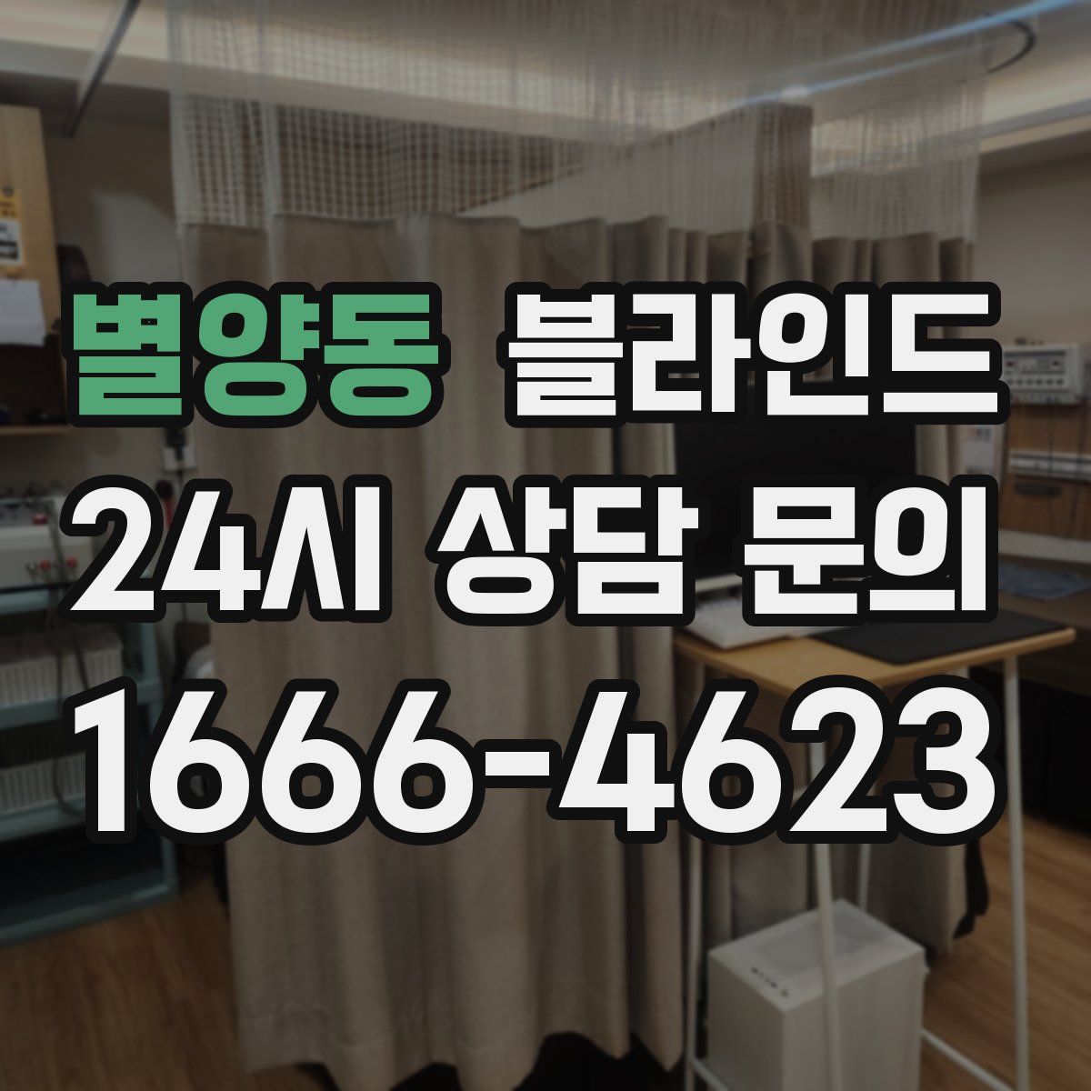 별양동 블라인드