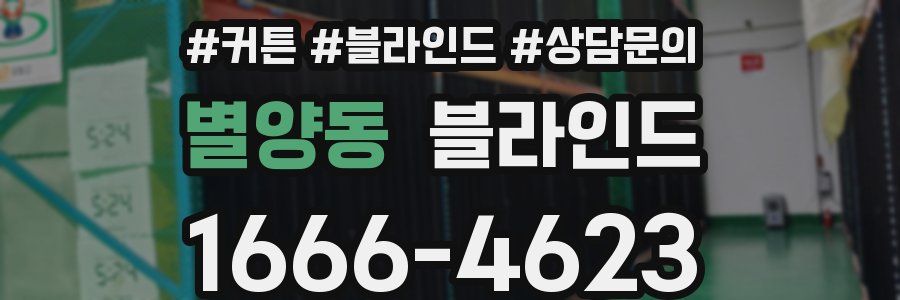 별양동 블라인드