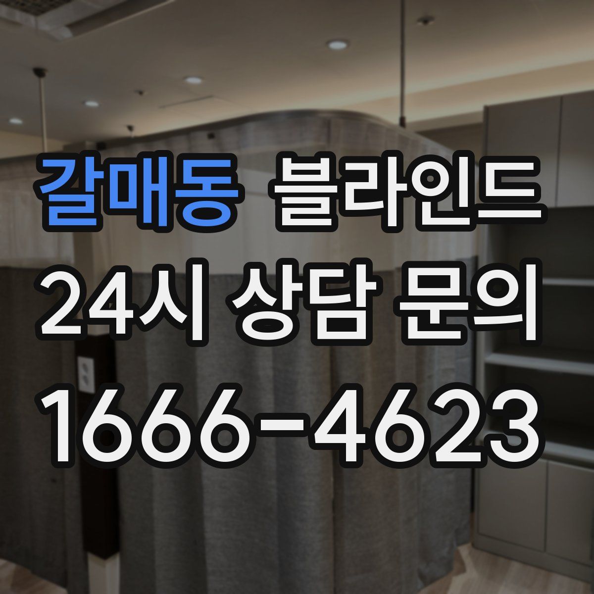 갈매동 블라인드
