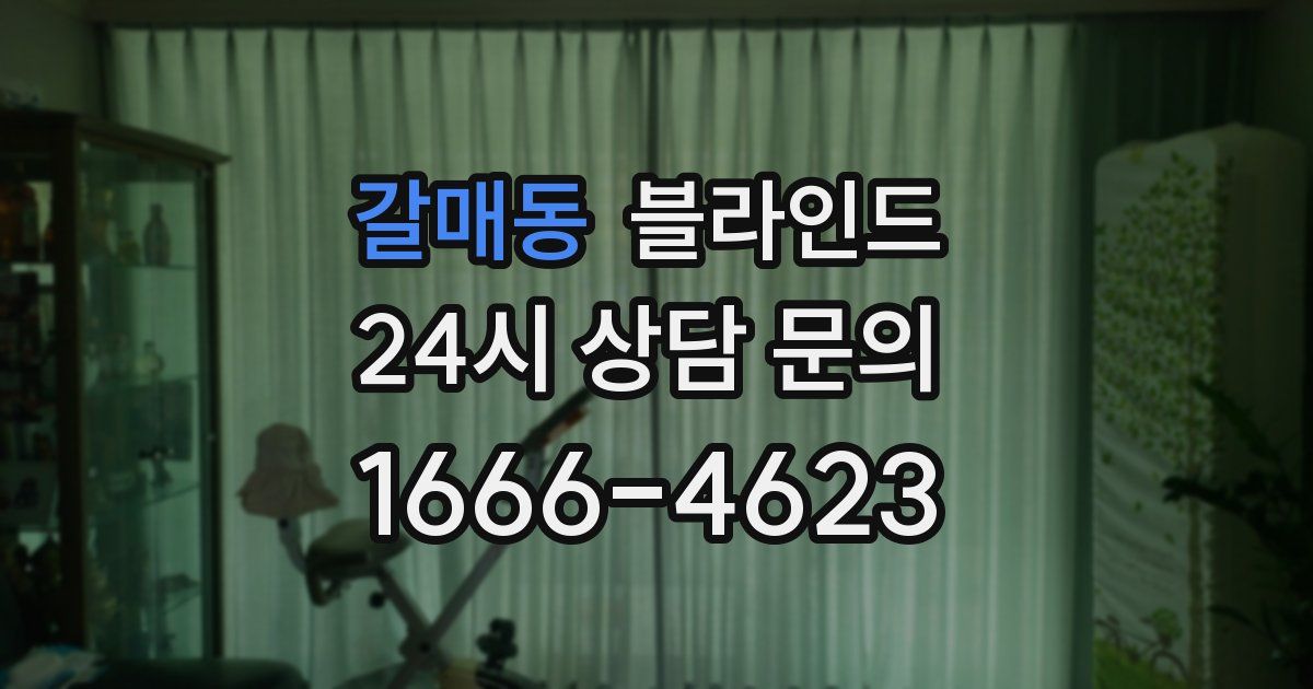 갈매동 블라인드