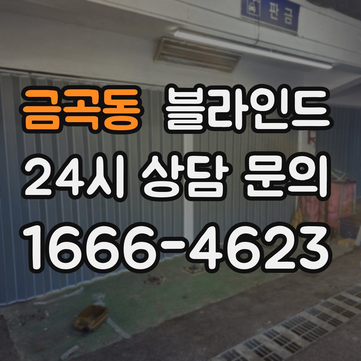 금곡동 블라인드