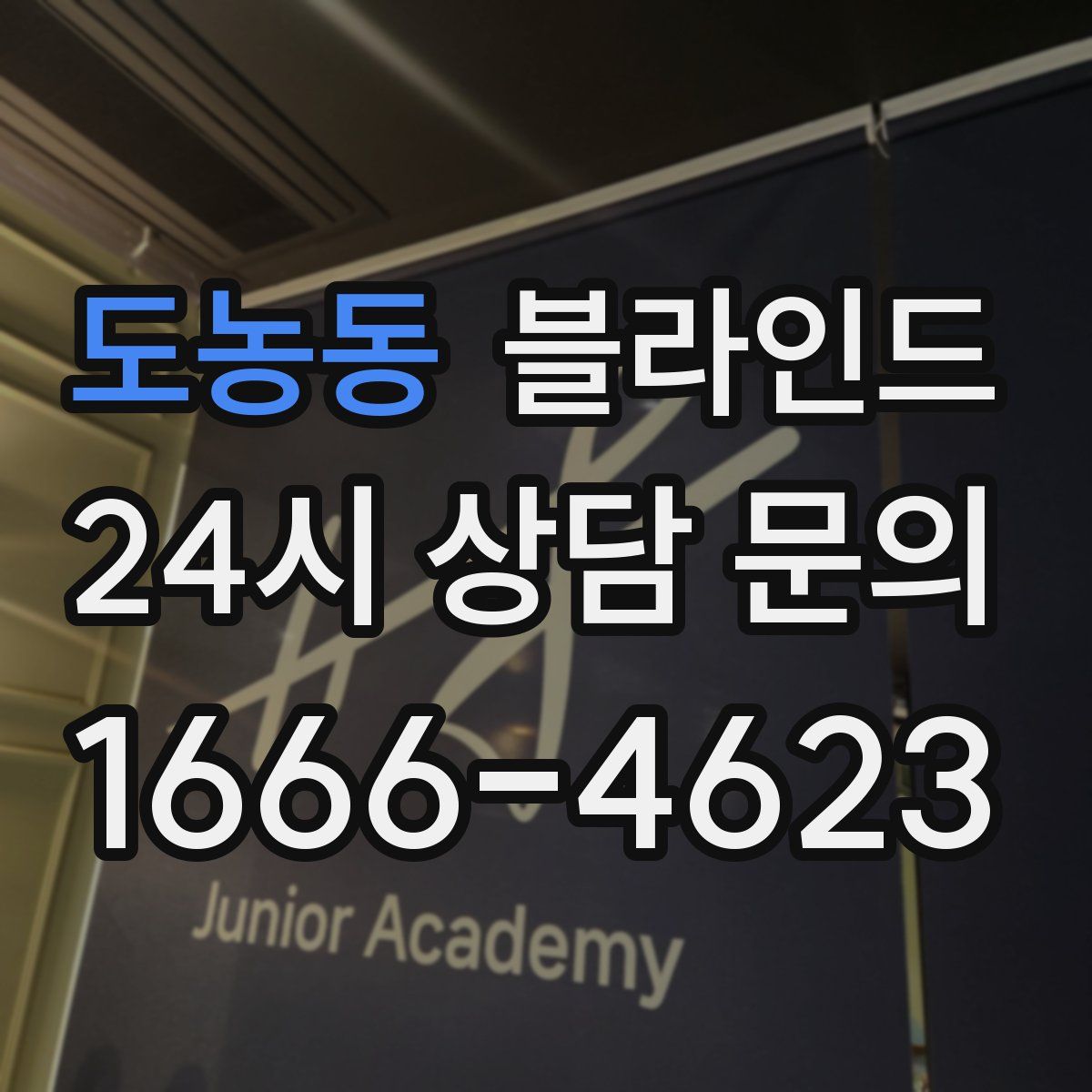 도농동 블라인드