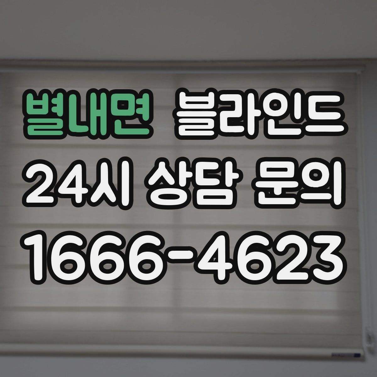 별내면 블라인드