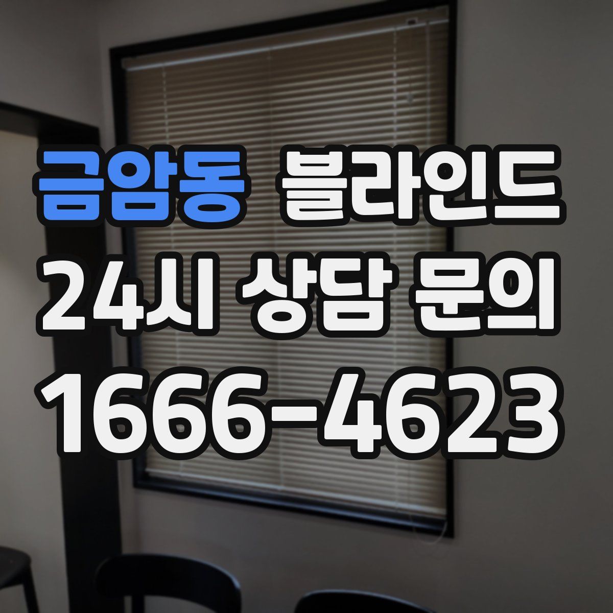 금암동 블라인드