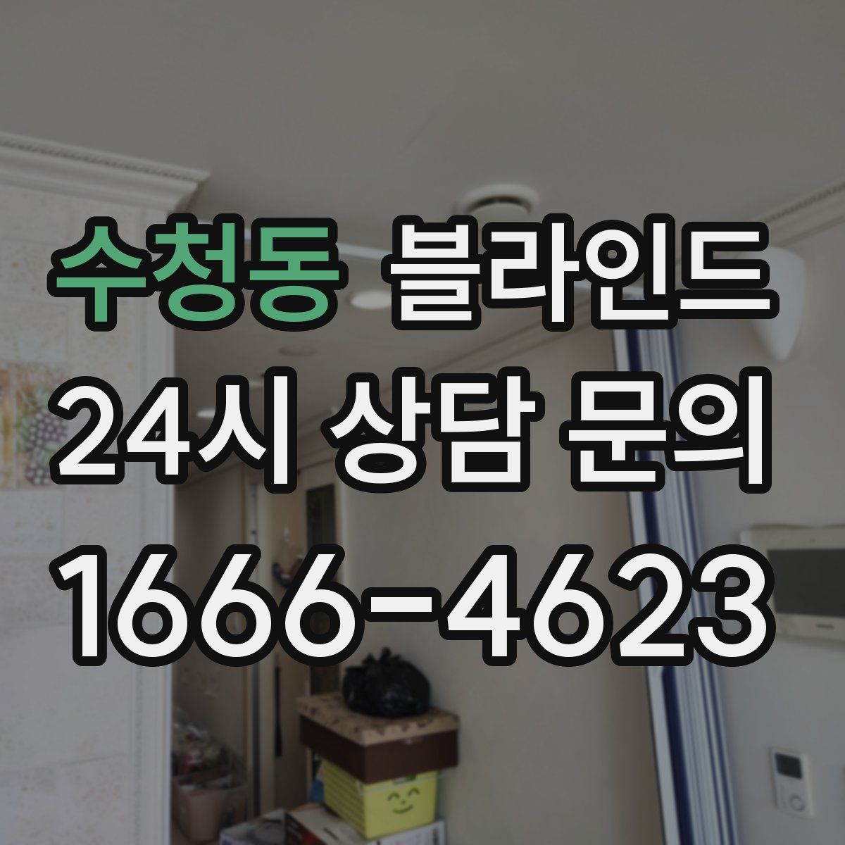 수청동 블라인드