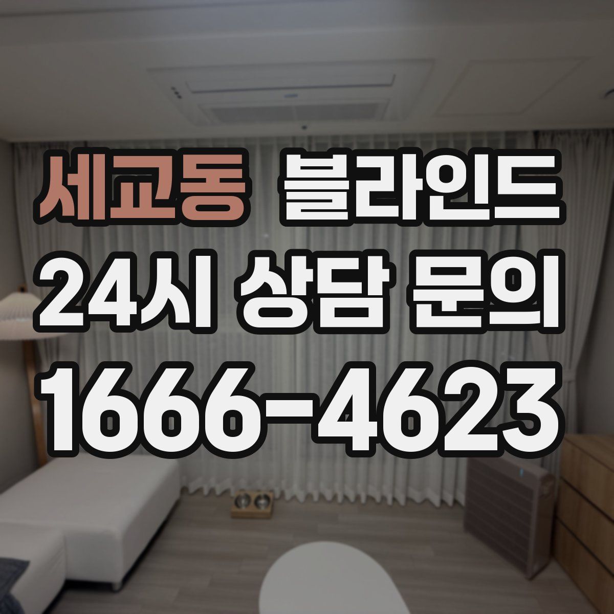 세교동 블라인드