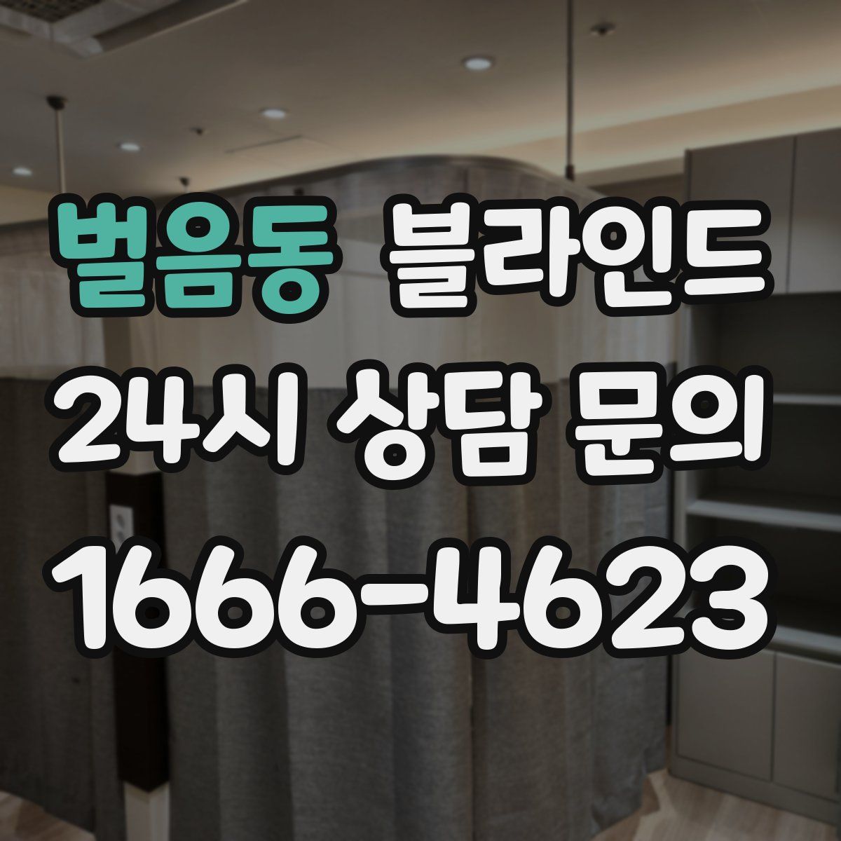 벌음동 블라인드